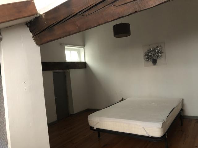 Location appartement T2 Lyon 7 - Photo 2