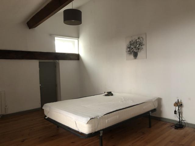 Location appartement T2 Lyon 7 - Photo 3
