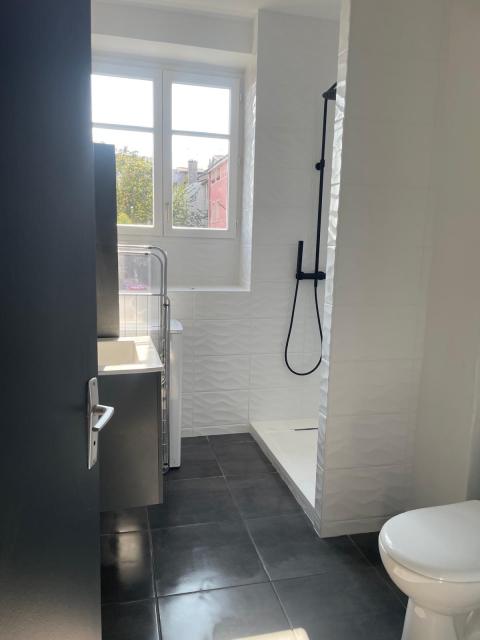 Location appartement T3 Caluire et Cuire - Photo 2