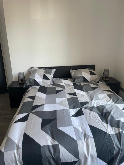 Location appartement T3 Caluire et Cuire - Photo 9
