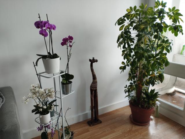 Location chambre Noisy le Grand - Photo 7