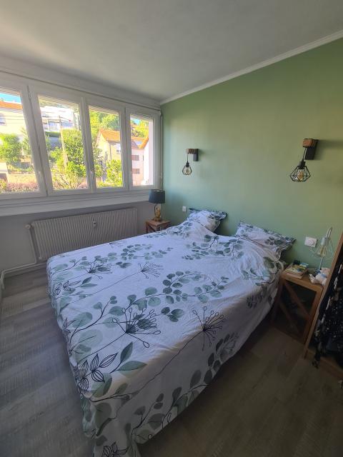Location appartement T3 St Etienne - Photo 7