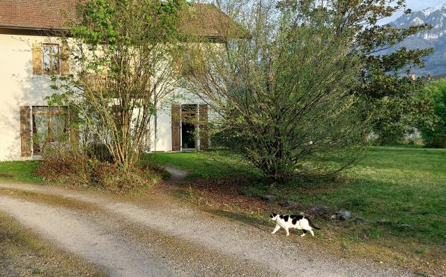 Location maison F7 La Roche sur Foron - Photo 2