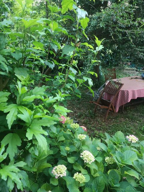 Location chambre Albi - Photo 2