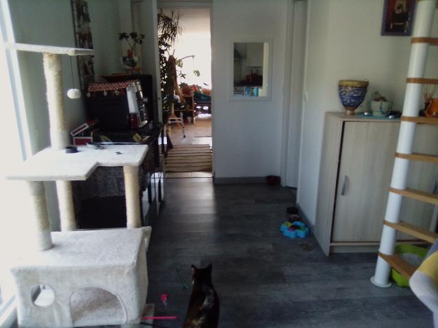 Location maison F3 Orgerus - Photo 3