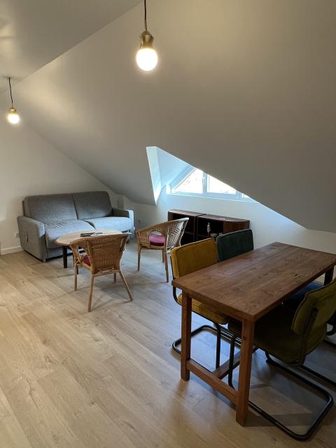 Location appartement T6 Chambery - Photo 3