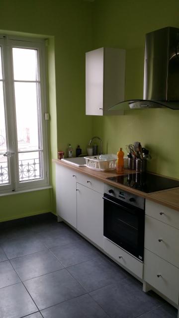 Location appartement T4 Villeurbanne - Photo 4