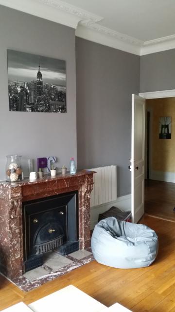 Location appartement T4 Villeurbanne - Photo 6