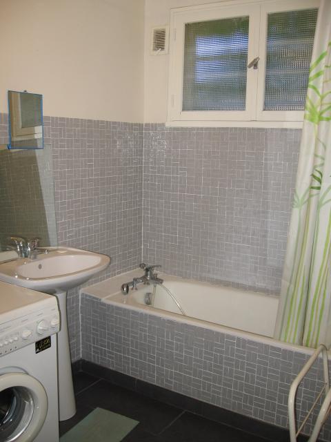 Location appartement T2 Labarthe sur Leze - Photo 9