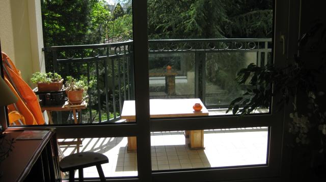 Location appartement T3 Champagne au Mont d'Or - Photo 2