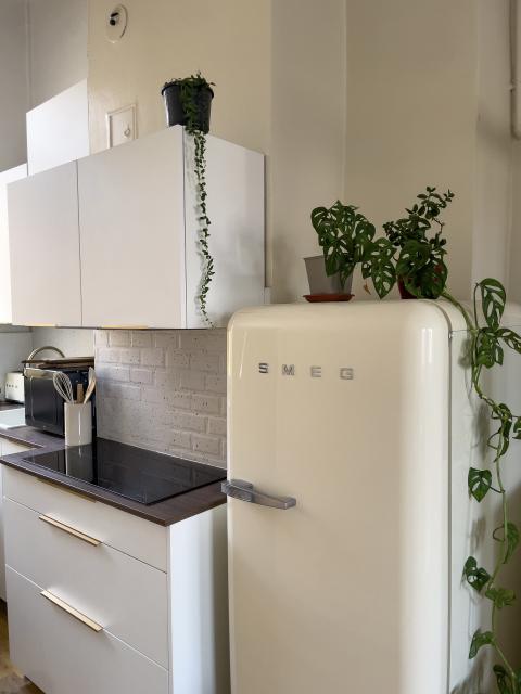 Location appartement T2 Lyon 1 - Photo 4
