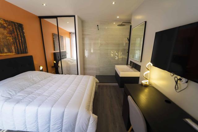Location appartement T2 St Etienne - Photo 2
