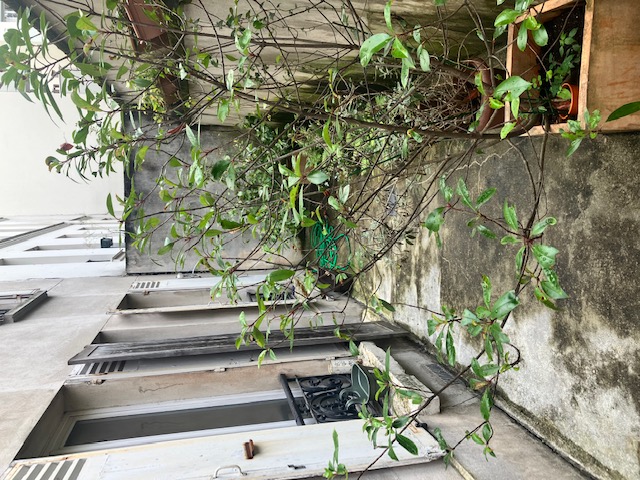 Location chambre Paris 11 - Photo 10