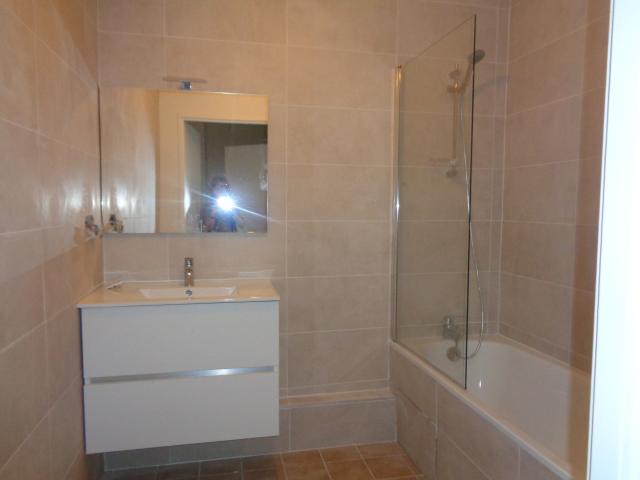 Location appartement T2 Lyon 3 - Photo 4