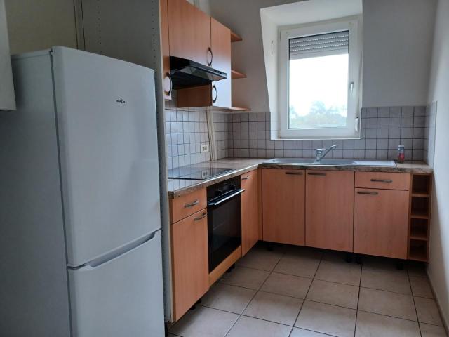 Location appartement T3 Mulhouse - Photo 4