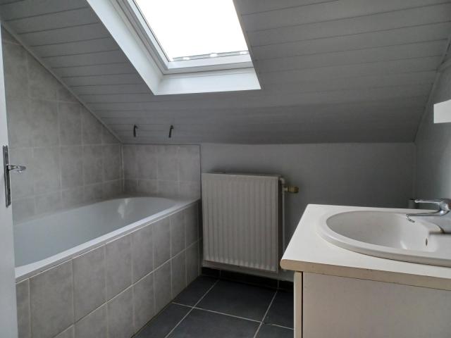 Location appartement T3 Mulhouse - Photo 5