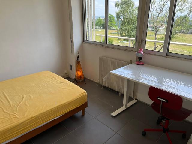 Location appartement T2 Caluire et Cuire - Photo 3