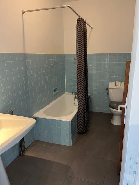 Location appartement T2 Caluire et Cuire - Photo 4