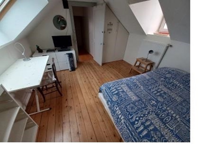 Location chambre Nantes - Photo 1