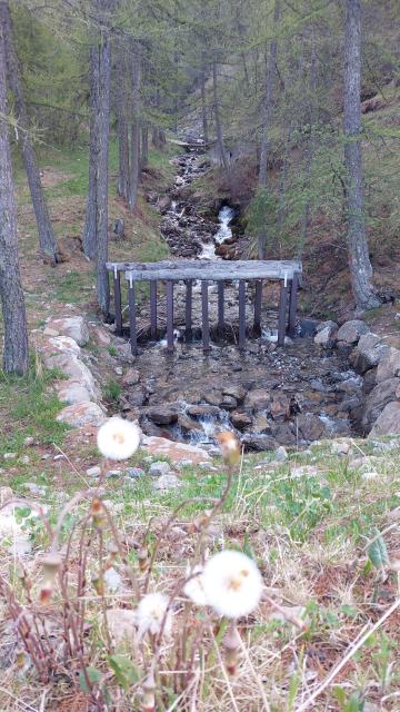 Location studio Les Orres - Photo 9