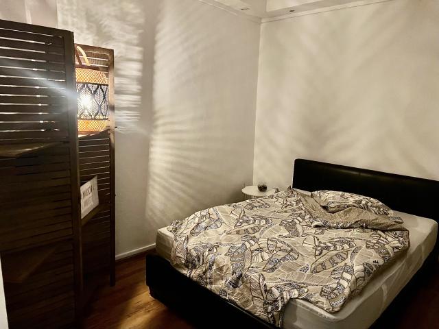 Location appartement T2 Digne les Bains - Photo 10