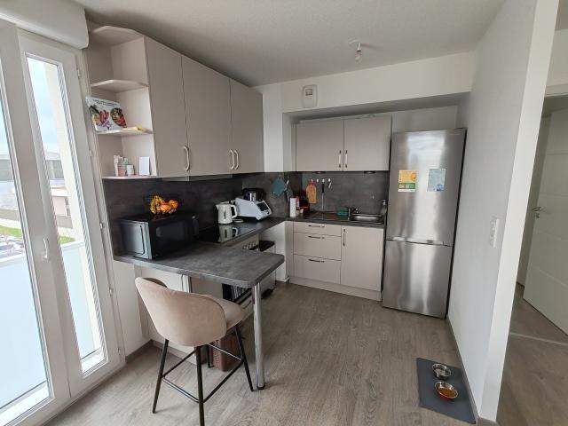 Location appartement T3 Brumath - Photo 5