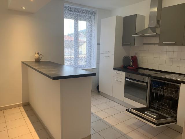 Location appartement T2 Amelie les Bains Palalda - Photo 4