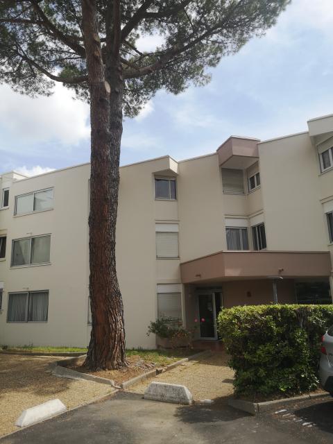 Location chambre Montpellier - Photo 2