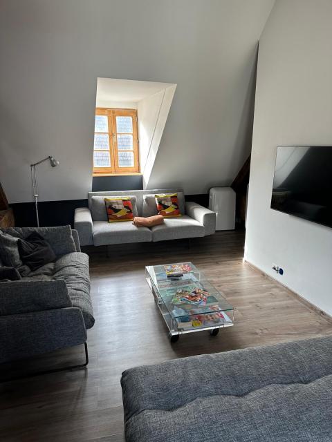 Location appartement T6 Annecy - Photo 3