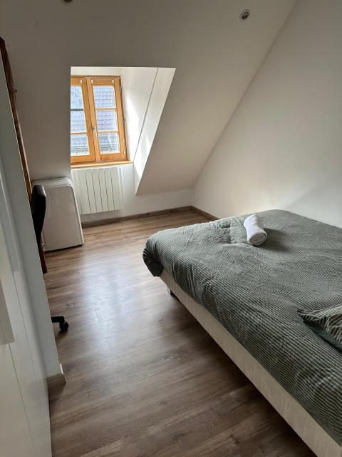 Location appartement T6 Annecy - Photo 6