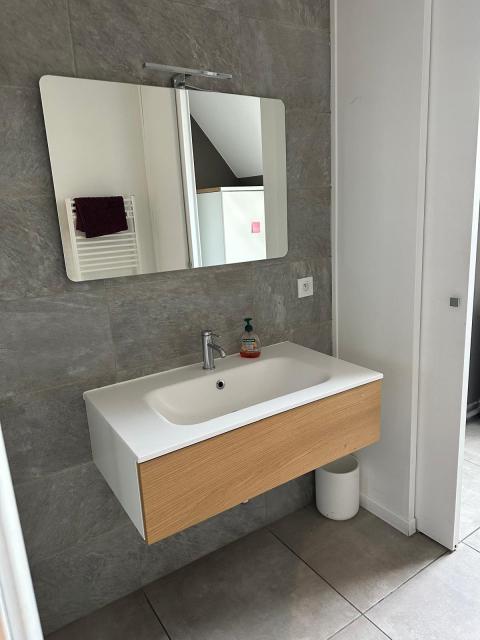 Location appartement T6 Annecy - Photo 7