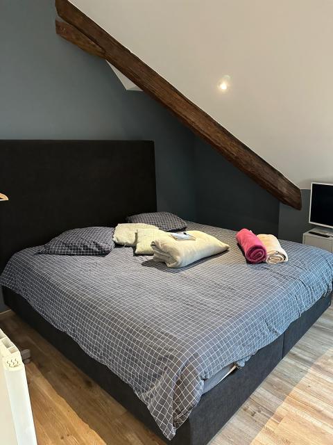 Location appartement T6 Annecy - Photo 9