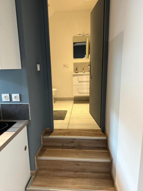 Location appartement T6 Annecy - Photo 10