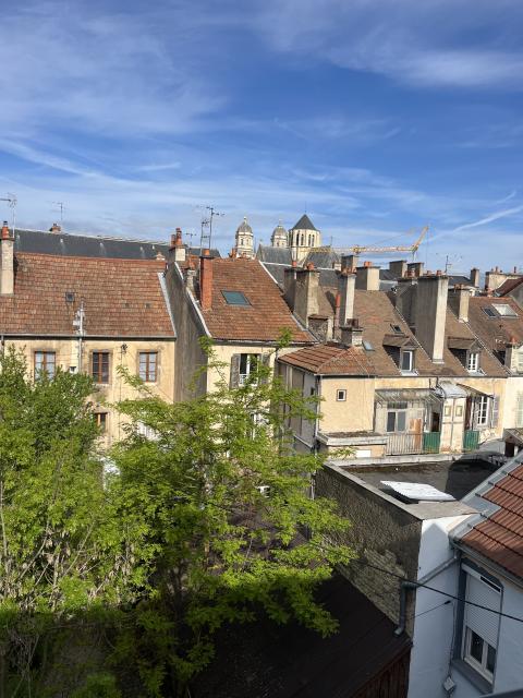 Location appartement T2 Dijon - Photo 4