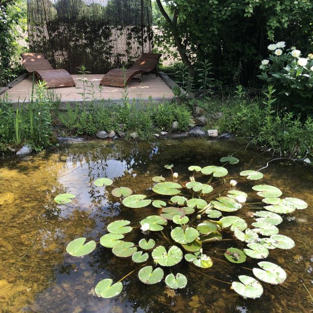Location appartement T2 Geiswasser - Photo 9