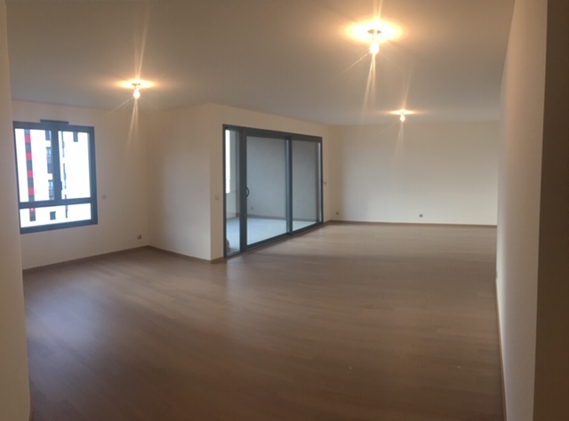 Location appartement T4 St Genis Pouilly - Photo 4