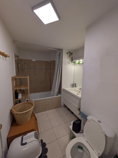 Location appartement T2 Strasbourg - Photo 5