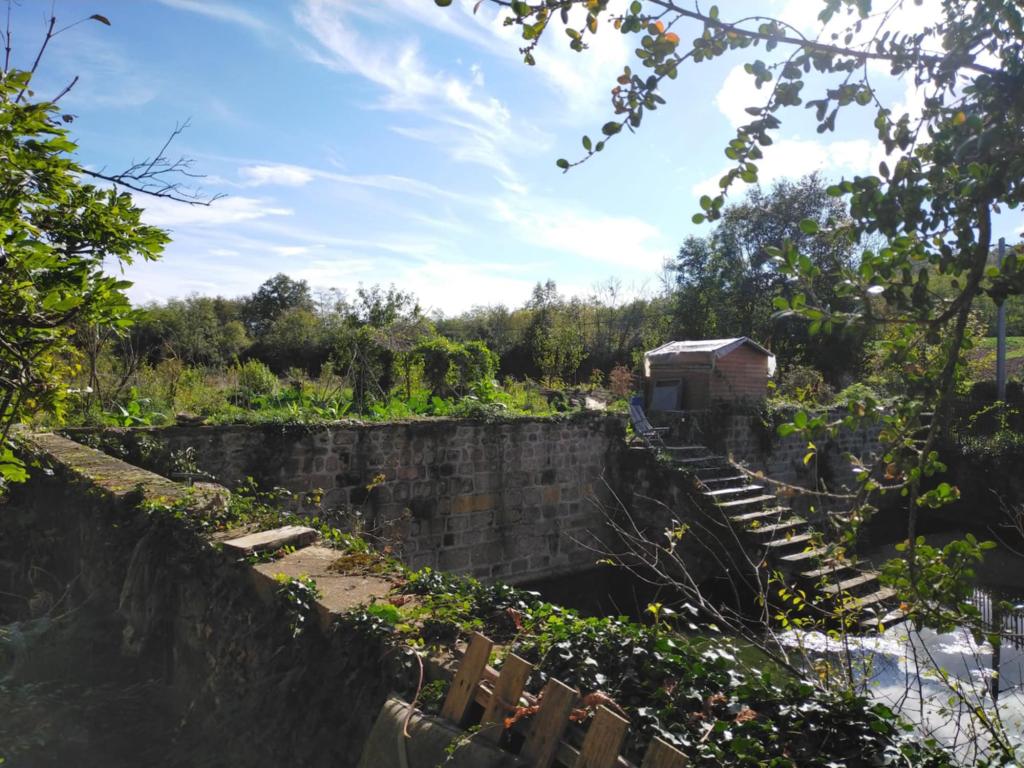 Location chambre St Romain de Popey - Photo 4