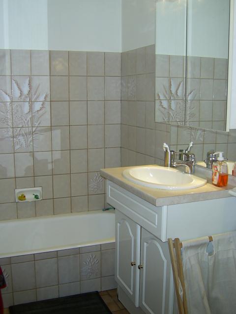 Location appartement T2 Alby sur Cheran - Photo 9
