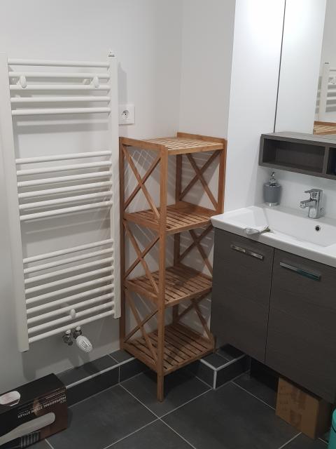 Location appartement T3 Lyon 7 - Photo 5