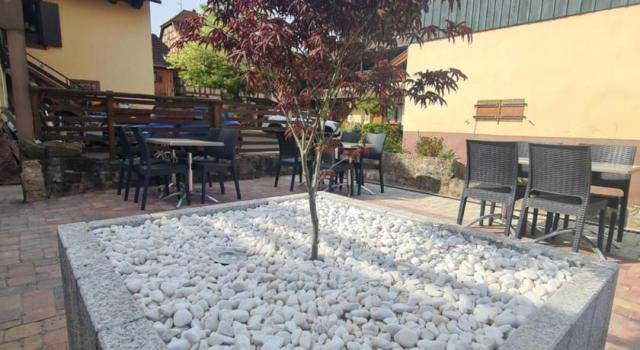 Location appartement T2 Beblenheim - Photo 9