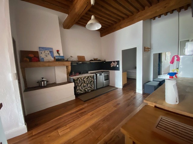 Location appartement T2 Lyon 4 - Photo 3