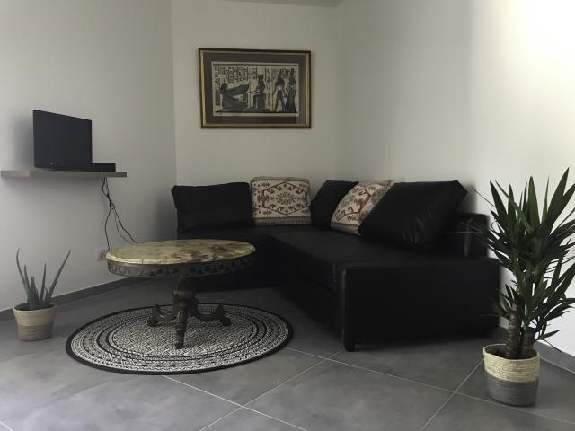 Location appartement T2 Annecy - Photo 3