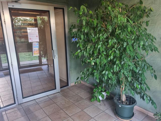 Location appartement T3 Lyon 8 - Photo 10