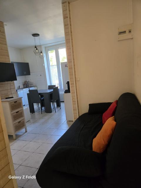 Location appartement T2 Lyon 7 - Photo 3