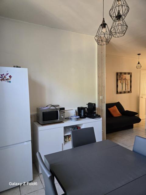 Location appartement T2 Lyon 7 - Photo 4