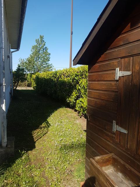 Location maison F3 Muret - Photo 8