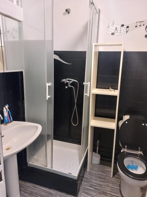 Location appartement T3 St Etienne - Photo 3