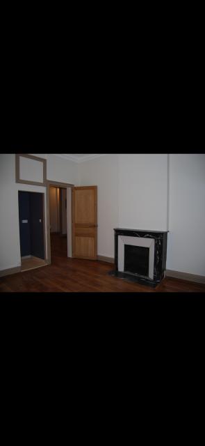 Location appartement T3 Nancy - Photo 2