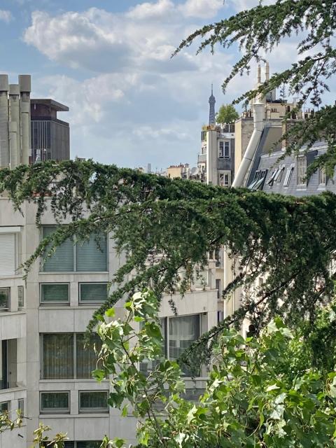 Location appartement T2 Paris 14 - Photo 2